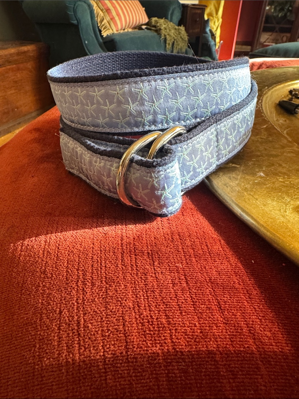 Light Blue Embroidered D-Ring Women's Fabric Belt